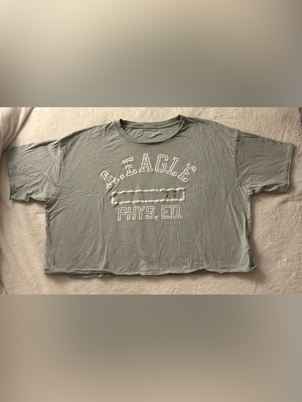 American Eagle Cropped Phys. Ed. Graphic Tee
